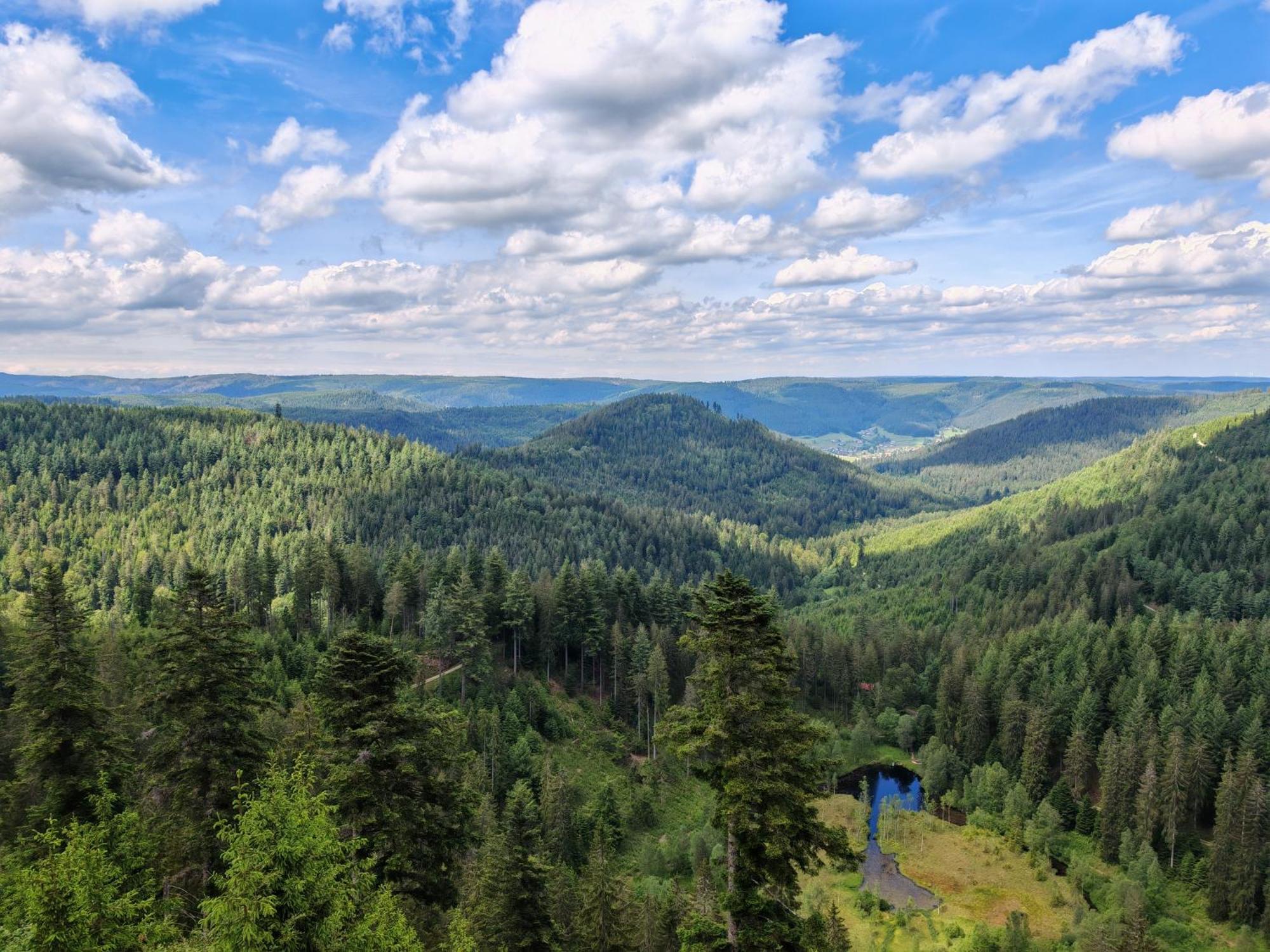 Gasthof "Zum Steinwald" Loßburg エクステリア 写真