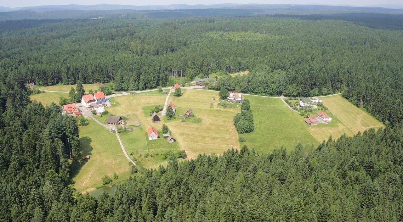 Gasthof "Zum Steinwald" Loßburg エクステリア 写真